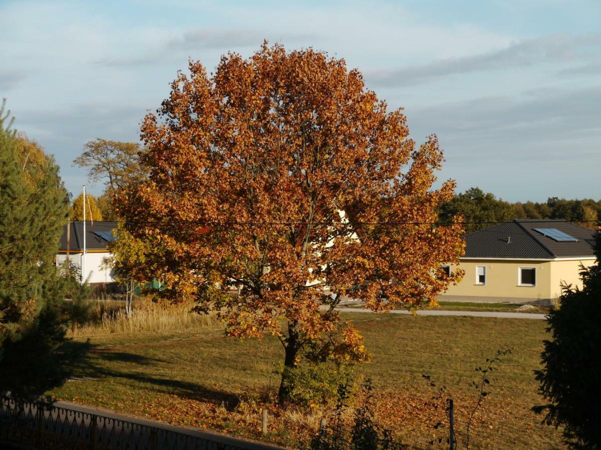 Ferienwohnung Im Neubauernweg 3 Hoppegarten Εξωτερικό φωτογραφία